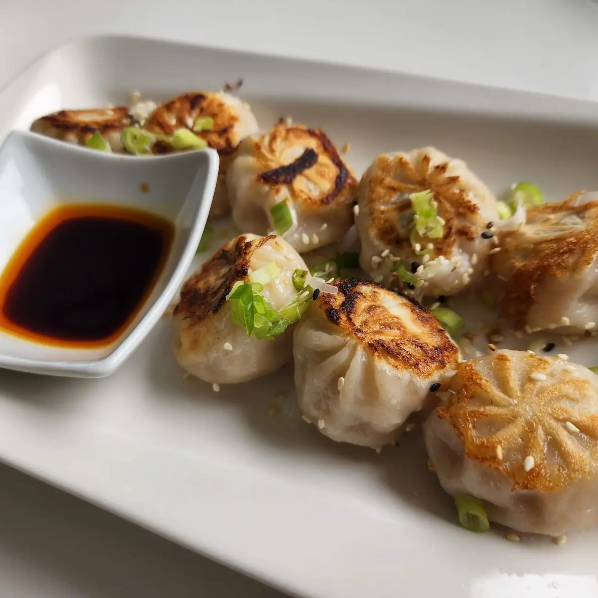 Pan Fried Bao 生煎包
